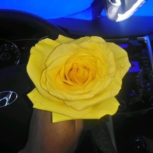 Meet your Posher, Karina